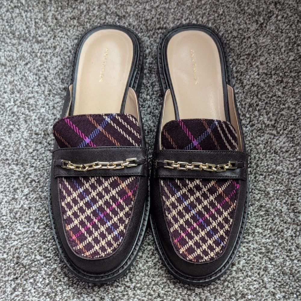 Ann Taylor Slides